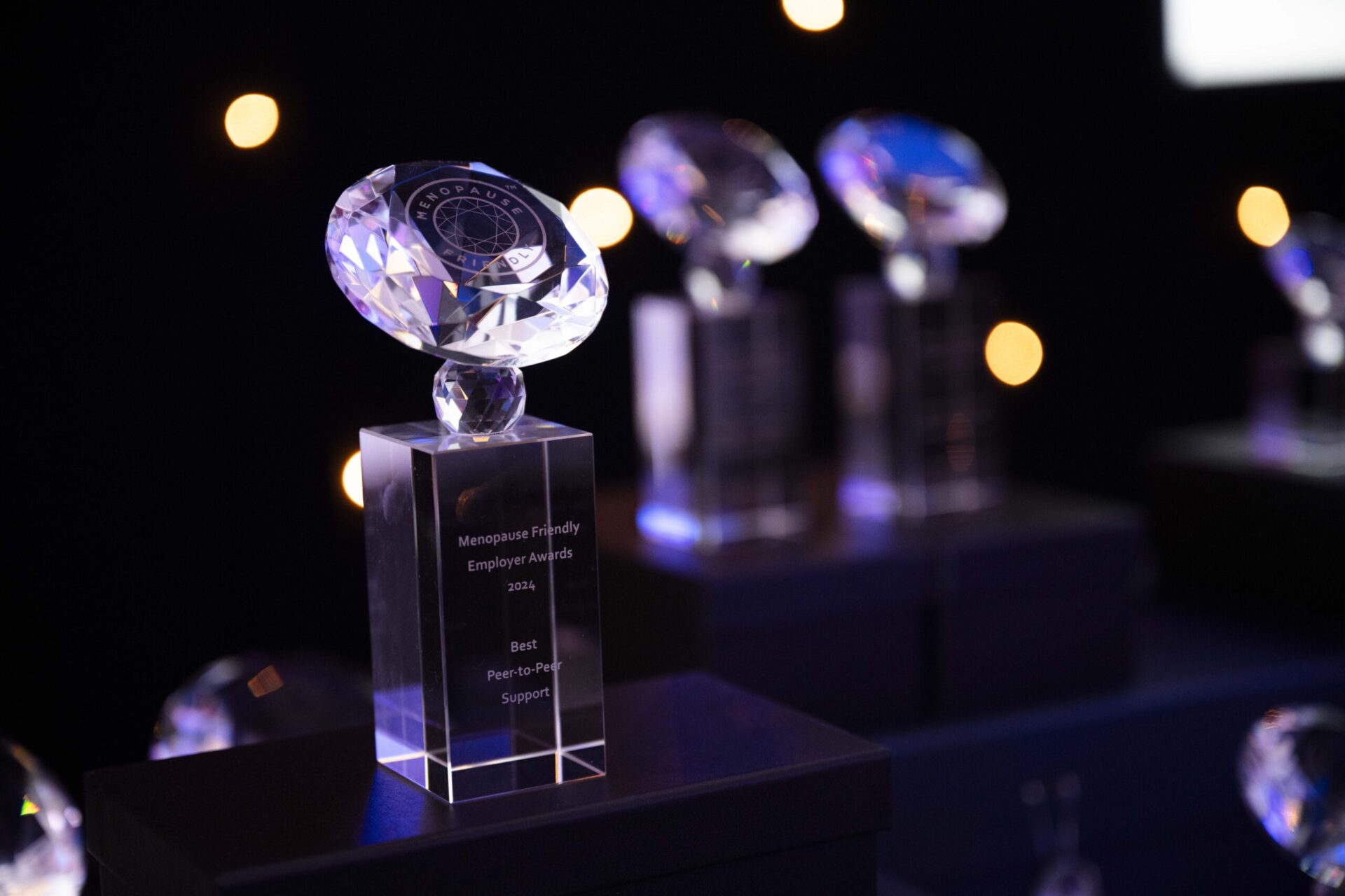 Menopause & Menstruation Friendly Employer Awards 2025 open for entries