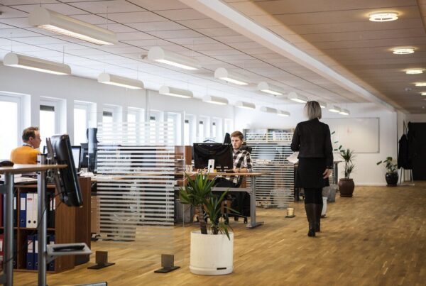 office, business, company, office, office, office, office, office